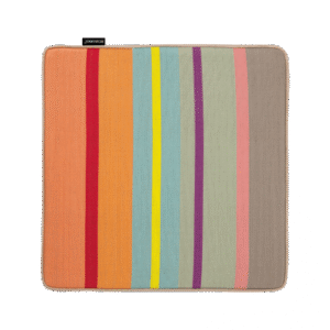 Striped Seat Cushion